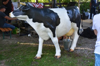 Kultura, Tradycja... i Placki! 2023